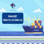 Phân biệt hàng lẻ (LCL) và nguyên container (FCL) – Nên chọn loại nào?